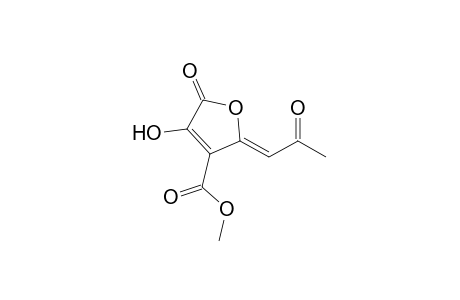 4-Methoxycarbonyl-3-hydroxy-5-(acetylmethylidene)dihydrofuran-2-one
