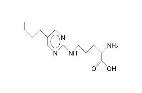 N.delta.-(5-Butyl-2-pyrimidinyl)ornithine