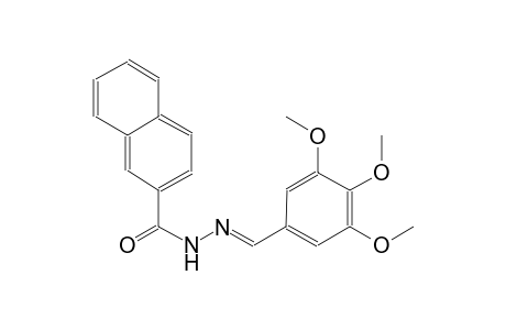 N'-[(E)-(3,4,5-trimethoxyphenyl)methylidene]-2-naphthohydrazide