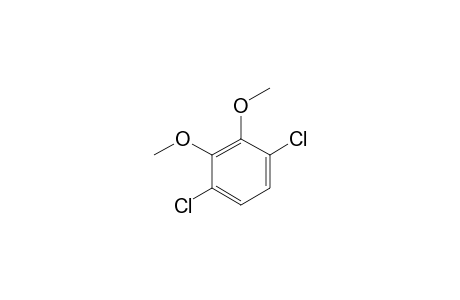 3,6-DICHLORO-1,2-DIMETHOXYBENZENE