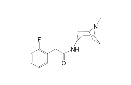 2-(2-Fluorophenyl)-N-(8-methyl-8-azabicyclo[3.2.1]oct-3-yl)acetamide