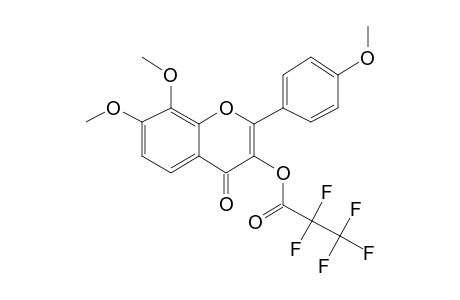 3-(Pentafluropropionyl)oxy-7,8,4'-trimethoxyflavone