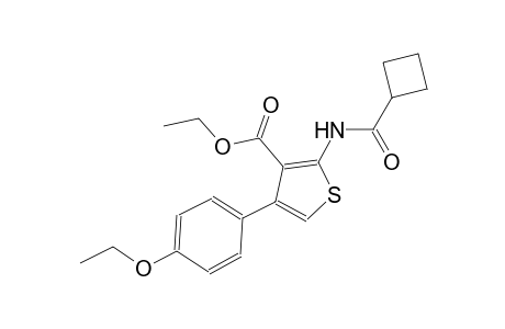ethyl 2-[(cyclobutylcarbonyl)amino]-4-(4-ethoxyphenyl)-3-thiophenecarboxylate