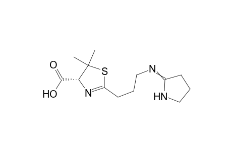 (R)-5,5-Dimethyl-2-[3-(pyrrolidine-2-ylideneamino)-propyl]-4,5-dihydro-1,3-thiazole-4-carboxylic Acid