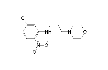 5-chloro-N-[3-(4-morpholinyl)propyl]-2-nitroaniline