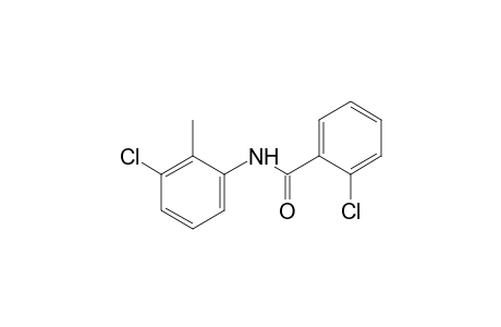 2,3'-dichloro-o-benzotoluidide