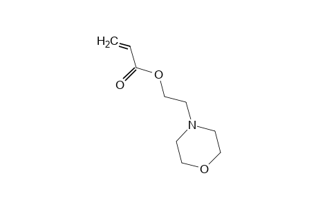 2-N-MORPHOLINOETHYL ACRYLATE