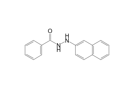 benzoic acid, 2-(2-naphthyl)hydrazide