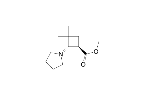 Cyclobutanecarboxylic acid, 3,3-dimethyl-2-(1-pyrrolidinyl)-, methyl ester, trans-(.+-.)-