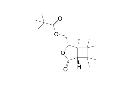 (1S,4S,5R)-5-Methyl-4-pivaloyloxymethyl-6,6,7,7-tetramethyl-3-oxabicyclo[3.2.0]heptan-2-one