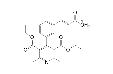 Lacidipine-M (dehydro-) MS3_1