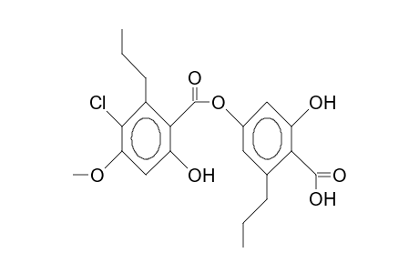 5-Chloro-divaricatic acid