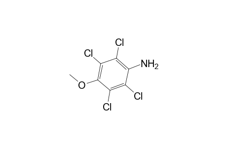Benzenamine, 2,3,5,6-tetrachloro-4-methoxy-