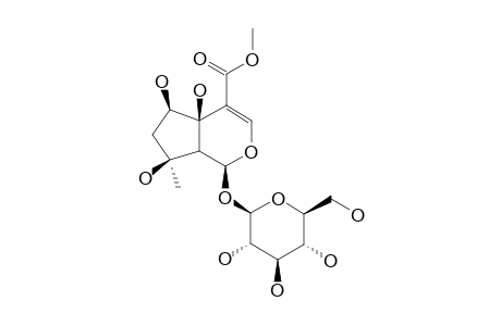 6B-HYDROXYIPOLAMIIDE