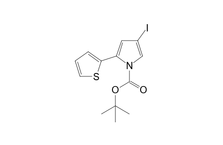 tert-Butyl 2-(2-thienyl)-4-iodo-1H-pyrrole-1-carboxylate