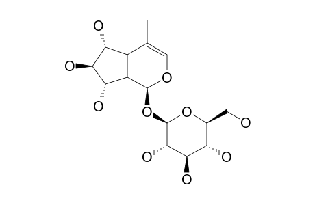 CORDIFOLIOL