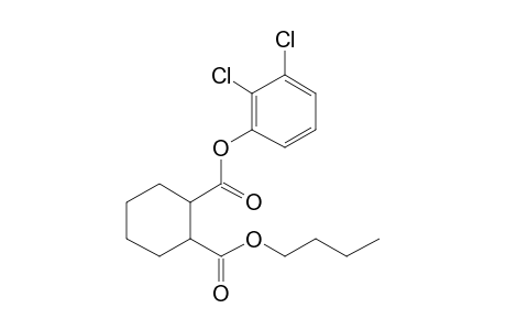 1,2-Cyclohexanedicarboxylic acid, butyl 2,3-dichlorophenyl ester