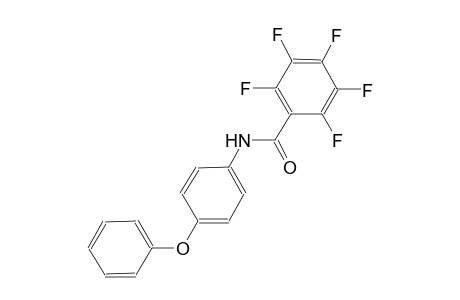 2,3,4,5,6-pentafluoro-N-(4-phenoxyphenyl)benzamide