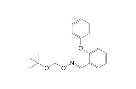 (E)-tert-butoxymethoxy-(2-phenoxybenzylidene)amine
