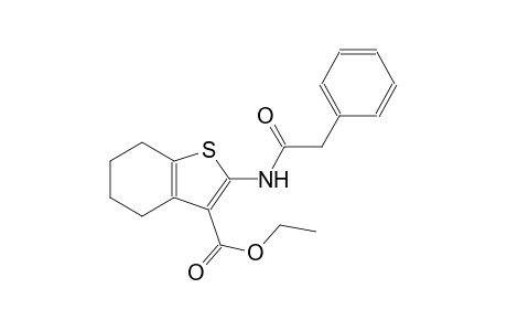 ethyl 2-[(phenylacetyl)amino]-4,5,6,7-tetrahydro-1-benzothiophene-3-carboxylate