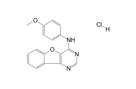 N-(4-methoxyphenyl)benzofuro[3,2-d]pyrimidin-4-amine hydrochloride