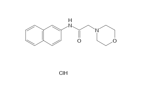 N-2-NAPHTHYL-4-MORPHOLINEACETAMIDE, HYDROCHLORIDE