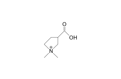 B-Proline-betaine cation