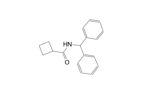 N-benzhydrylcyclobutanecarboxamide