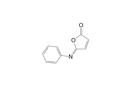 anti-N-Phenyl-maleisoimide