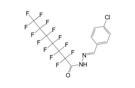 2,2,3,3,4,4,5,5,6,6,7,7,7-Tridecafluoro-heptanoic acid (4-chloro-benzylidene)-hydrazide