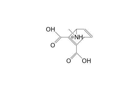 syn-N-Methyl-7-aza-norbornadiene-2,3-dicarboxylic acid, cation
