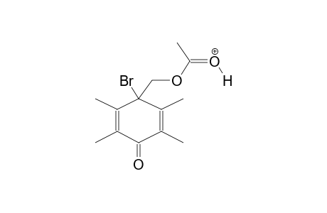 4-BROMO-4-ACETOXYMETHYL-2,3,5,6-TETRAMETHYLCYCLOHEXADIEN-2,5-ONE,PROTONATED