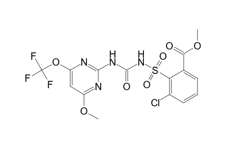 Benzoic acid, 3-chloro-2-[[[[[4-methoxy-6-(trifluoromethoxy)-2-pyrimidinyl]amino]carbonyl]amino]sulfonyl]-, methyl ester