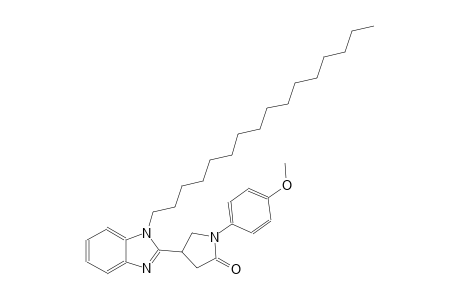 4-(1-hexadecyl-1H-benzimidazol-2-yl)-1-(4-methoxyphenyl)-2-pyrrolidinone