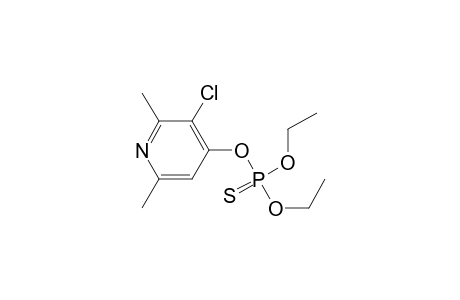 O,O-diethyl O-(3-chloro-2,6-dimethyl-4-pyridyl)phosphorothidate