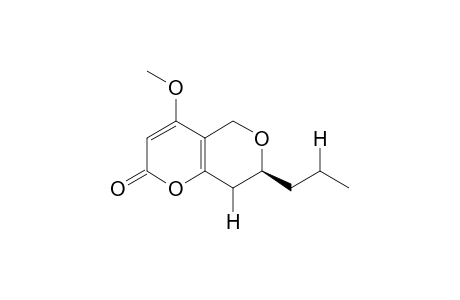 Phomopsinone A
