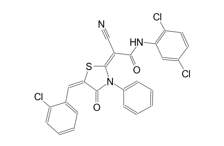 (2E)-2-[(5E)-5-(2-chlorobenzylidene)-4-oxo-3-phenyl-1,3-thiazolidin-2-ylidene]-2-cyano-N-(2,5-dichlorophenyl)ethanamide