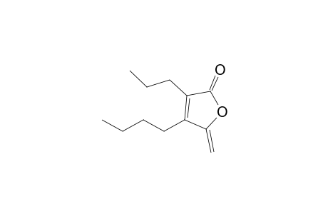 5-Methylene-4-(n-butyl)-3-(n-propyl)-2(5H)-furanone