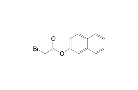 Bromoacetic acid, 2-naphthyl ester