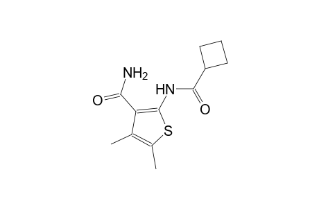2-[(cyclobutylcarbonyl)amino]-4,5-dimethyl-3-thiophenecarboxamide