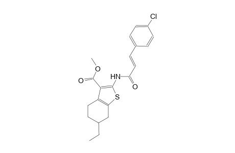 methyl 2-{[(2E)-3-(4-chlorophenyl)-2-propenoyl]amino}-6-ethyl-4,5,6,7-tetrahydro-1-benzothiophene-3-carboxylate