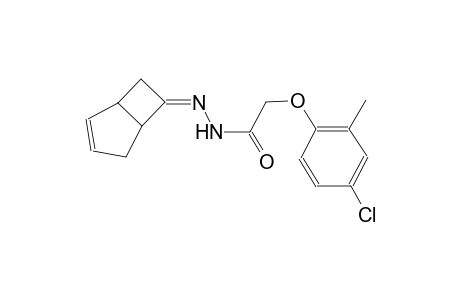 N'-[(6Z)-bicyclo[3.2.0]hept-2-en-6-ylidene]-2-(4-chloro-2-methylphenoxy)acetohydrazide