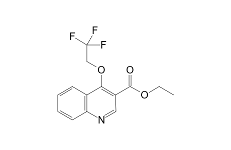 thyl 4-(2,2,2-trifluoroethoxy)quinoline-3-carboxylate