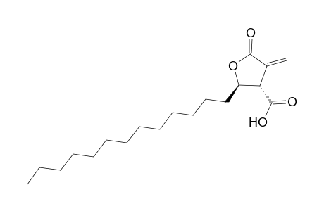 (+)-Protolichesterinic Acid