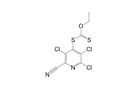 S-(2,3,5-TRICHLORO-6-CYANO-4-PYRIDYL)-ETHYLXANTHATE