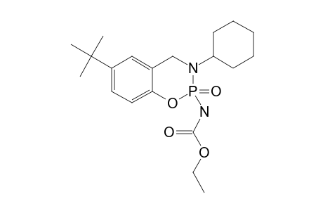 2-ETHYLCARBAMATO-6-(1,1-DIMETHYLETHYL)-3-CYCLOHEXYL-3,4-DIHYDRO-2H-1,3,2-BENZOXAZAPHOSPHORINE-2-OXIDE