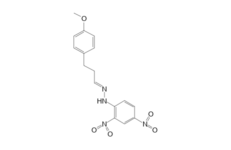 p-METHOXYHYDROCINNAMALDEHYDE, (2,4-DINITROPHENYL)HYDRAZONE