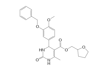 4-(3-benzoxy-4-methoxy-phenyl)-2-keto-6-methyl-3,4-dihydro-1H-pyrimidine-5-carboxylic acid tetrahydrofurfuryl ester