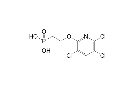 (2-([3,5,6-Trichloropyridin-2-yl]oxy)ethyl)phosphonic acid