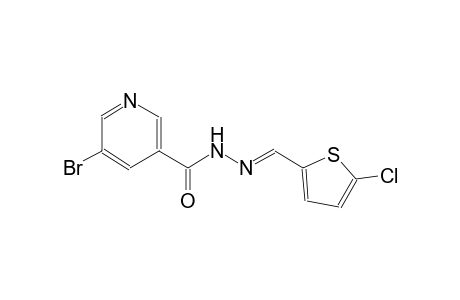 5-bromo-N'-[(E)-(5-chloro-2-thienyl)methylidene]nicotinohydrazide